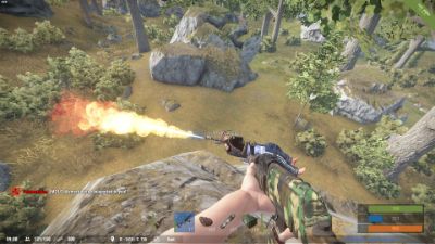 flamethrower bug