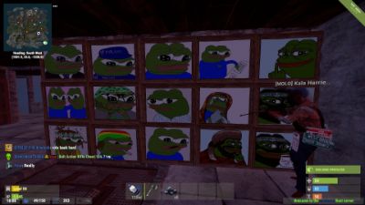 pepe wall