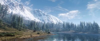 Witcher 3 high resolution screenshot